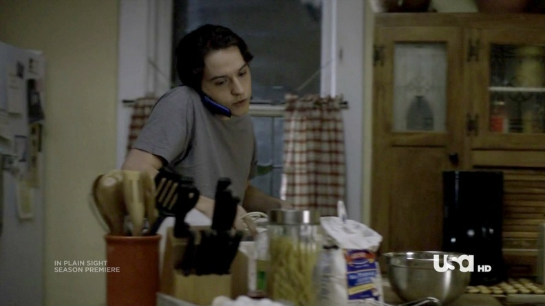 SeanM_InPlainSight_3x01_01.jpg